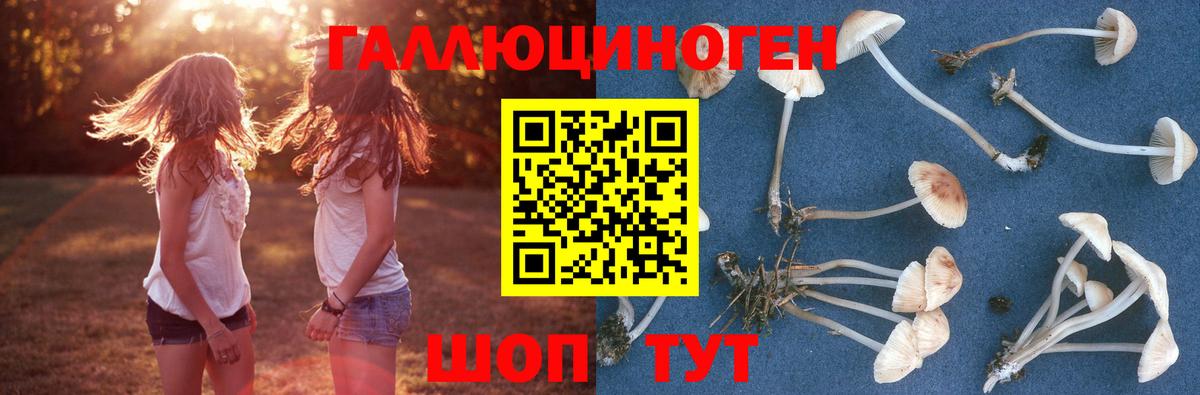 Псилоцибиновые грибы мухоморы  Псилоцибиновые грибы Psilocybine cubensis  Вольск  купить   Вход с VPN 