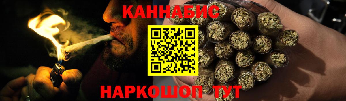 Конопля гибрид Вольск